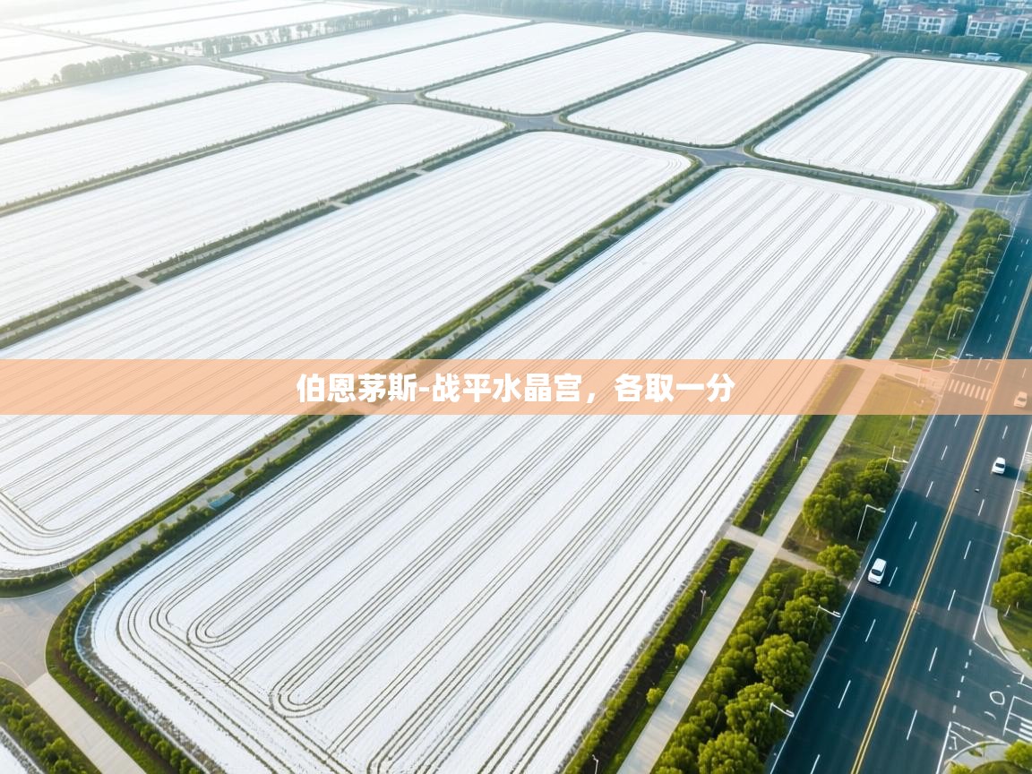 伯恩茅斯-战平水晶宫,各取一分 第1张