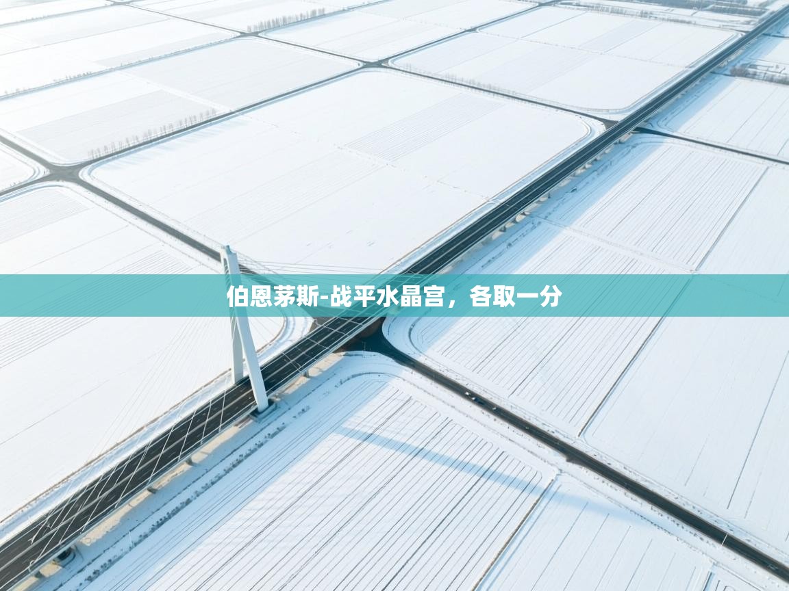 伯恩茅斯-战平水晶宫,各取一分 第2张